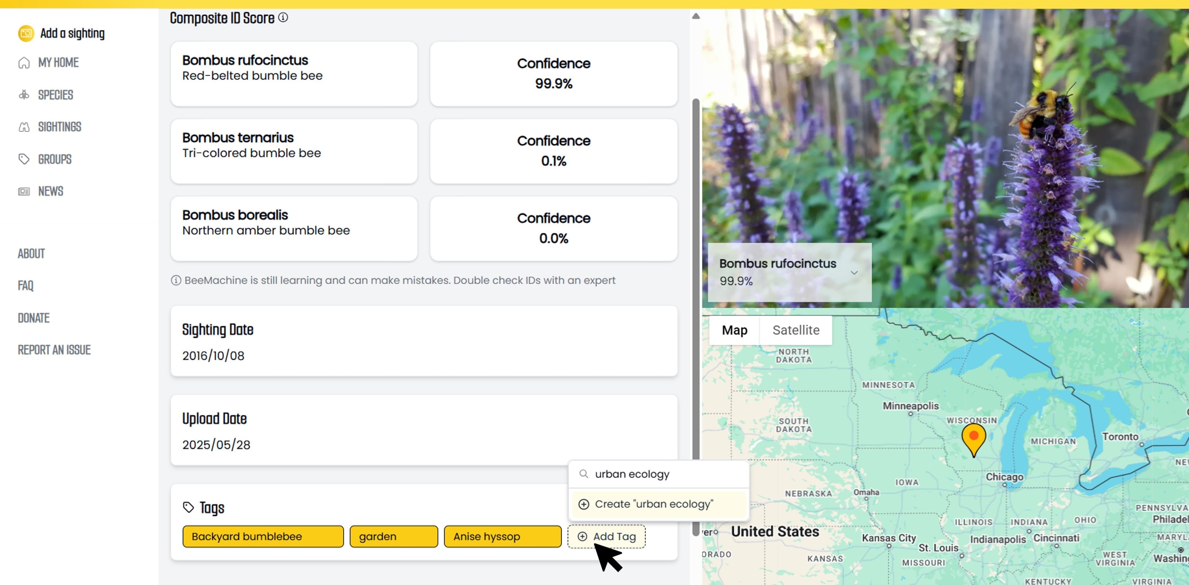 Screenshot of a sighting screen showing examples tags